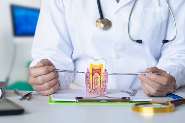 Best Emergency Dentist for Knocked-Out Tooth in Santaquin, UT